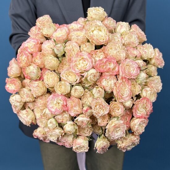 R Tr Charming Flow, 70 cm, cena par 1 gb, bildē ir 40 gb